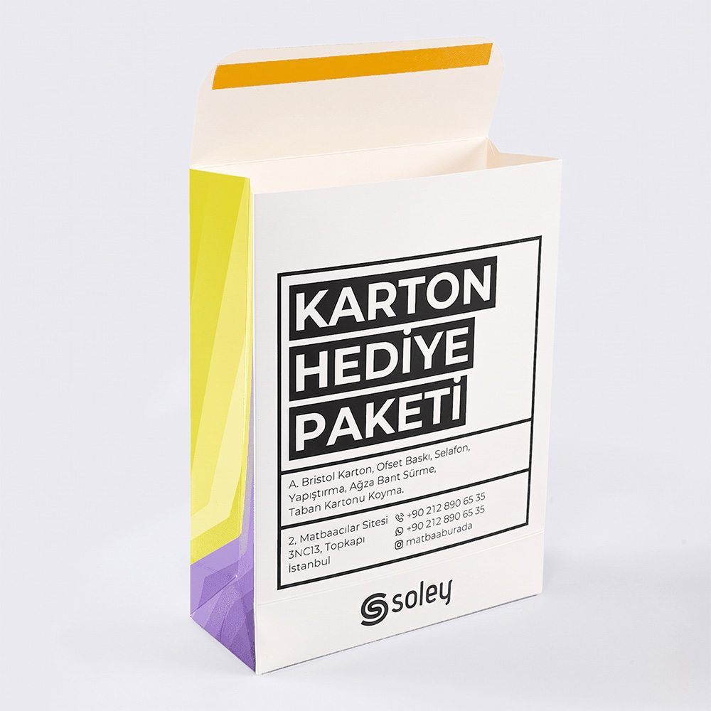 Baskılı Karton Hediye Paketi (Özel Üretim)