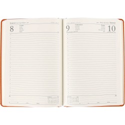 Çatalca-T Günlük Ajanda